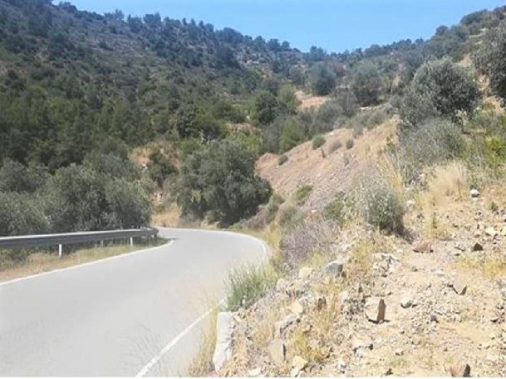 Agricultural Fields (4 units) - Lazanias, Nicosia image 2