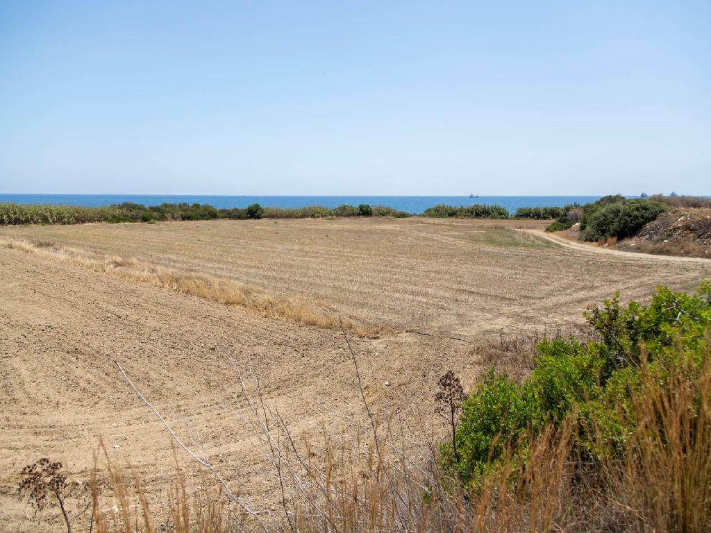 Touristic Field - Maroni, Larnaca image 5