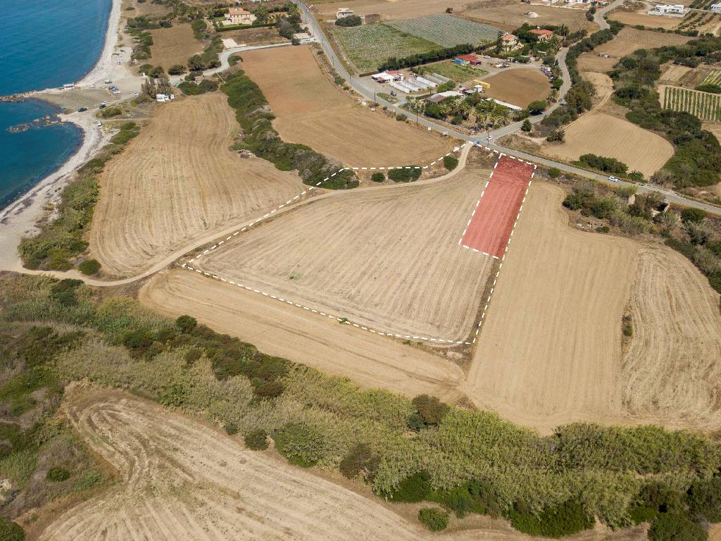Touristic Field - Maroni, Larnaca
