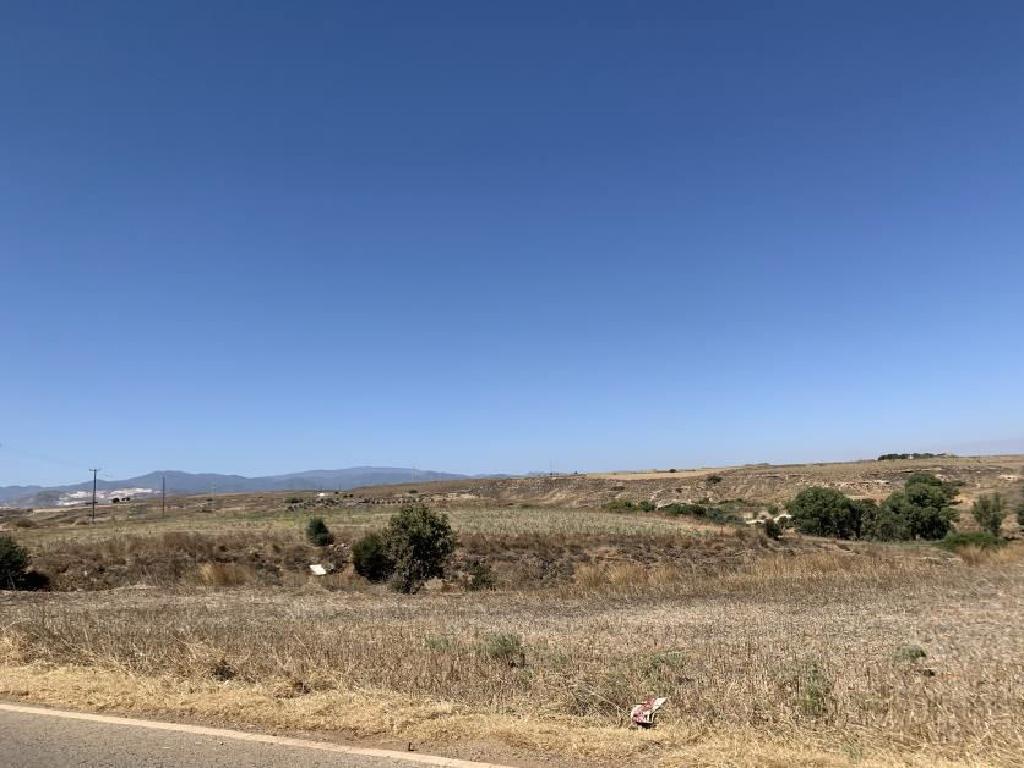 Livestock Field - Palaiometocho, Nicosia