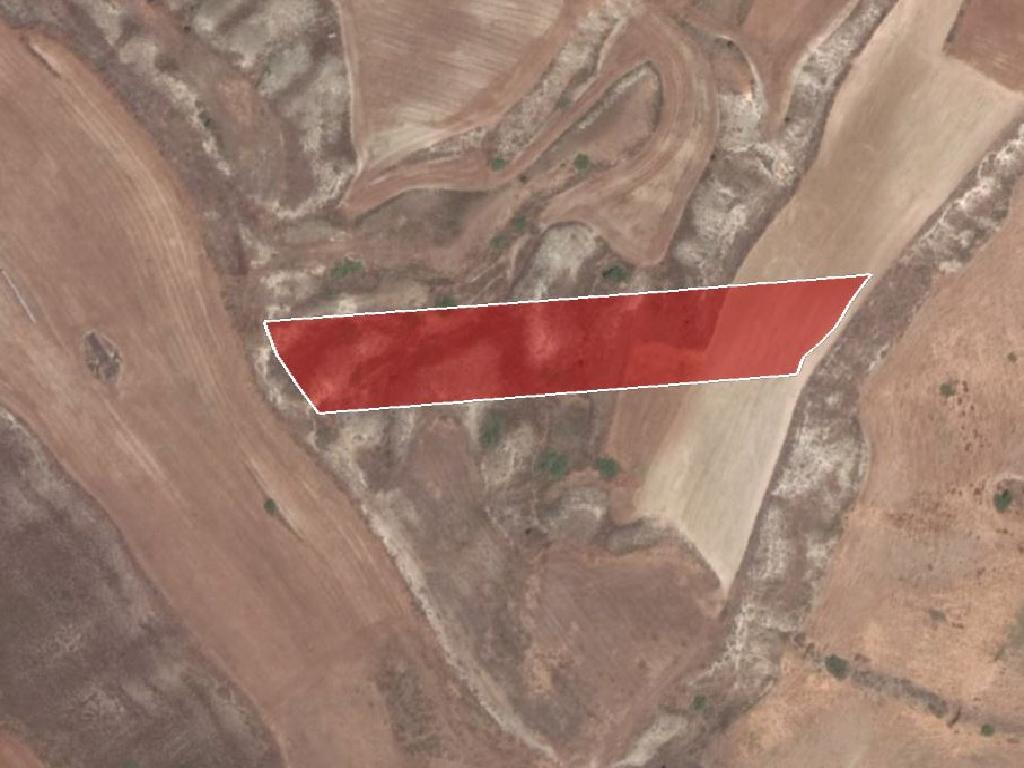 Livestock Field - Palaiometocho, Nicosia image 2