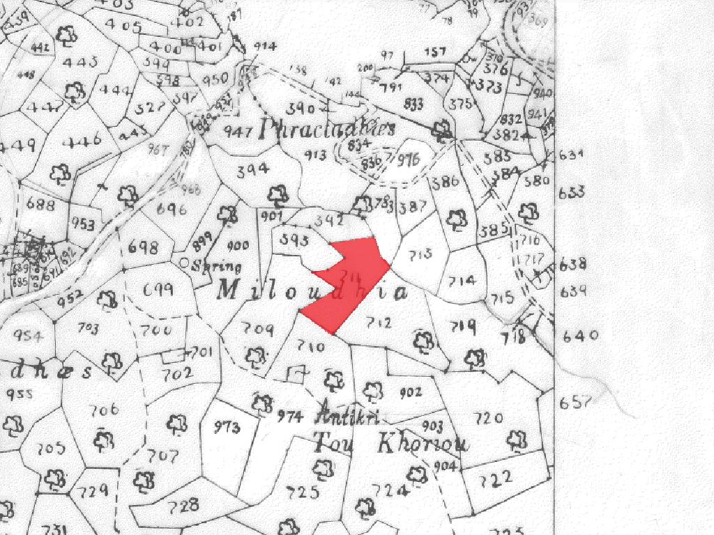 Residential Field - Melini, Larnaca image 6