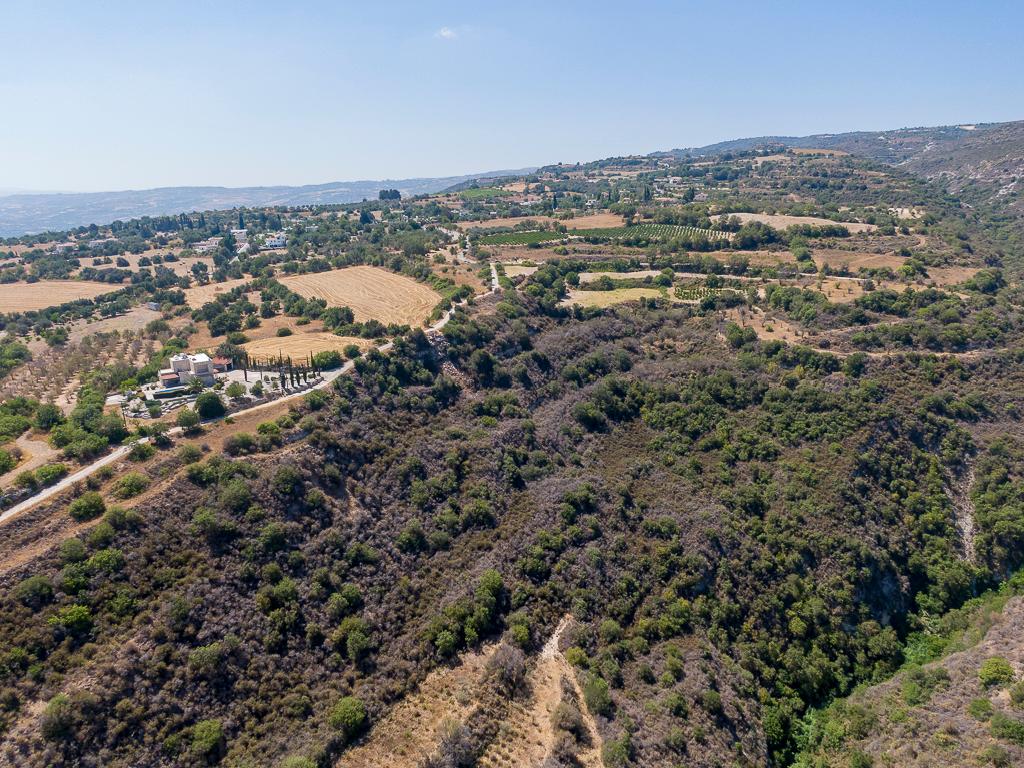 Agricultural Field - Pano Akourdaleia, Paphos image 6