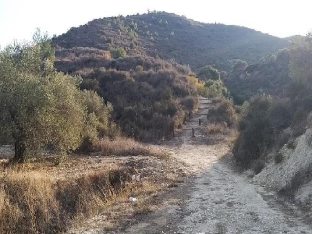 Agricultural Field - Asgata, Limassol image 3