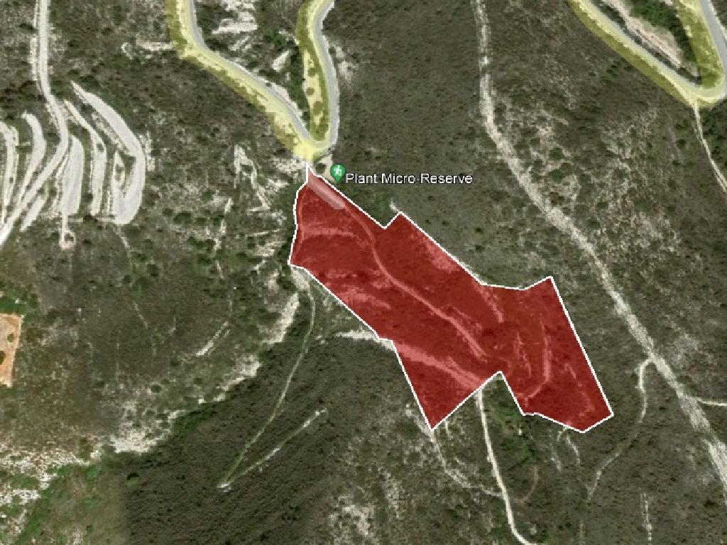 Agricultural Field - Asgata, Limassol