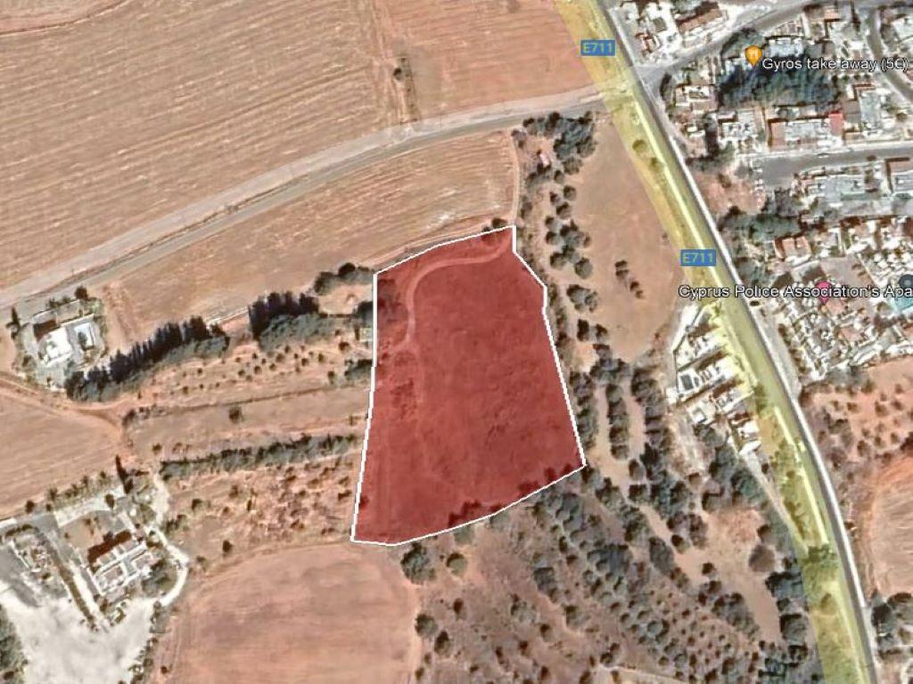 Residential Field - Prodromi, Paphos image 5