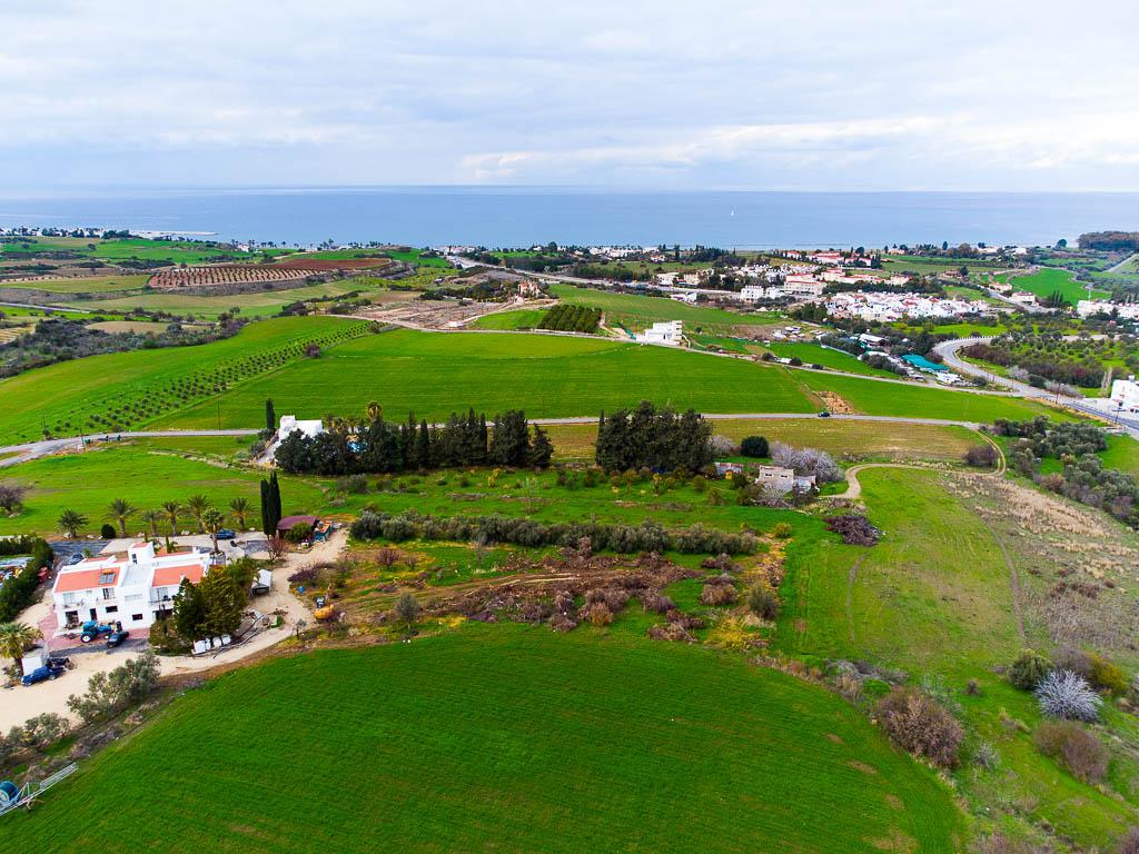 Residential Field - Prodromi, Paphos image 3