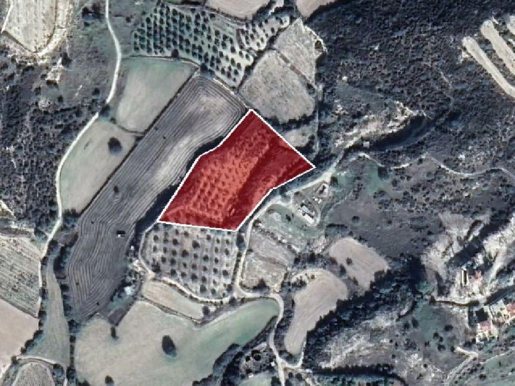 Residential Field - Pissouri, Limassol image 3