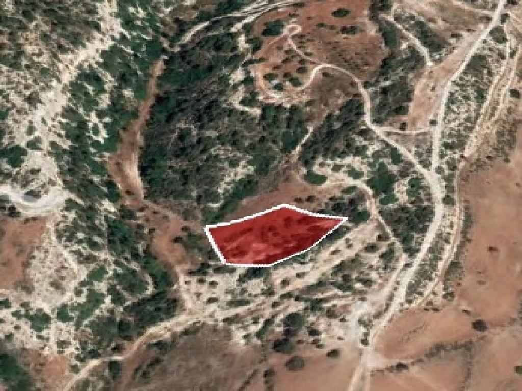 Agricultural field - Peyia, Paphos image 5