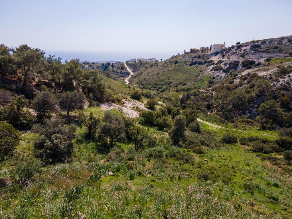 Agricultural field - Peyia, Paphos image 4