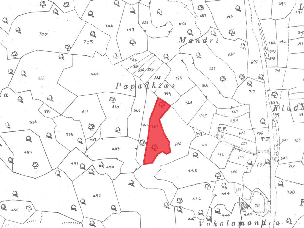 Touristic Field - Pissouri, Limassol image 4