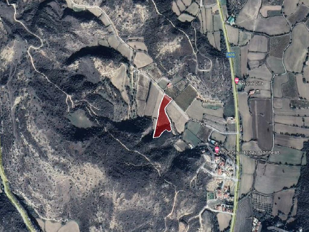 Touristic Field - Pissouri, Limassol image 3