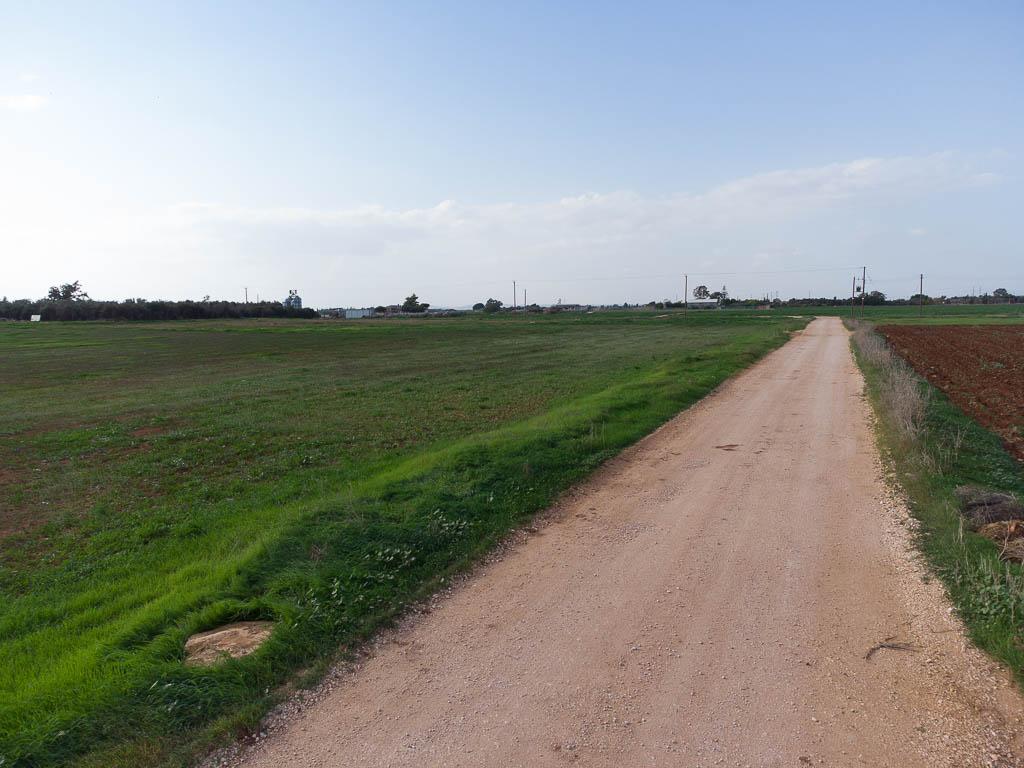 Livestock Field - Xylofagou, Larnaca image 4