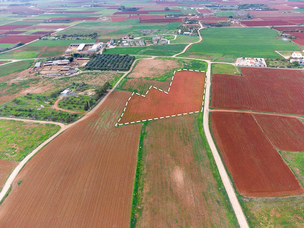 Livestock Field - Xylofagou, Larnaca