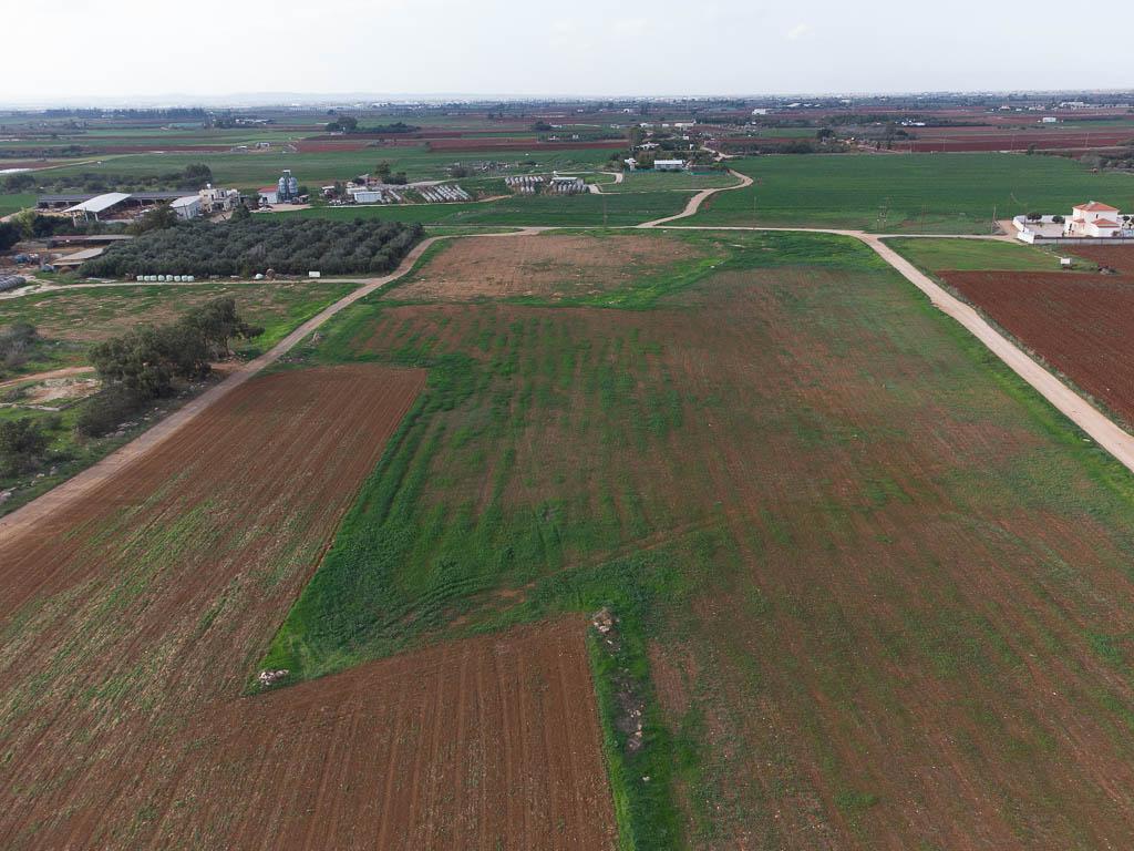 Livestock Field - Xylofagou, Larnaca image 2