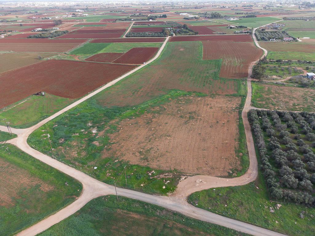 Livestock Field - Xylofagou, Larnaca image 3