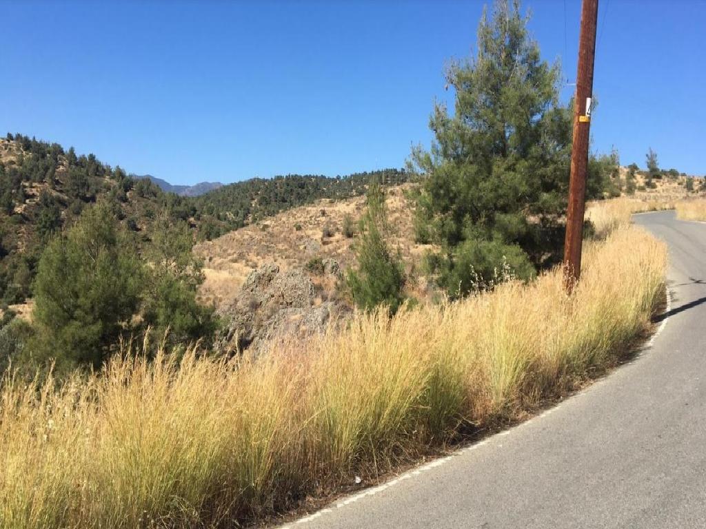 Agricultural Field - Kapedes, Nicosia image 2