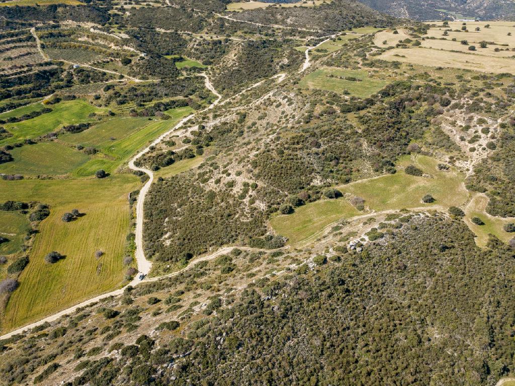 Field (Share) - Agios Theodoros, Larnaca image 2