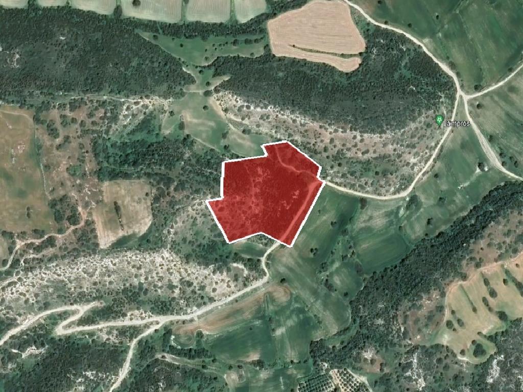 Field (Share) - Agios Theodoros, Larnaca image 4