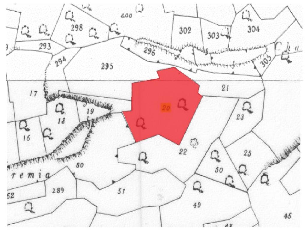 Field (Share) - Agios Theodoros, Larnaca image 5