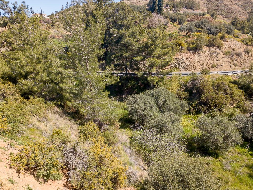 Agricultural Field - Argaka, Paphos image 5