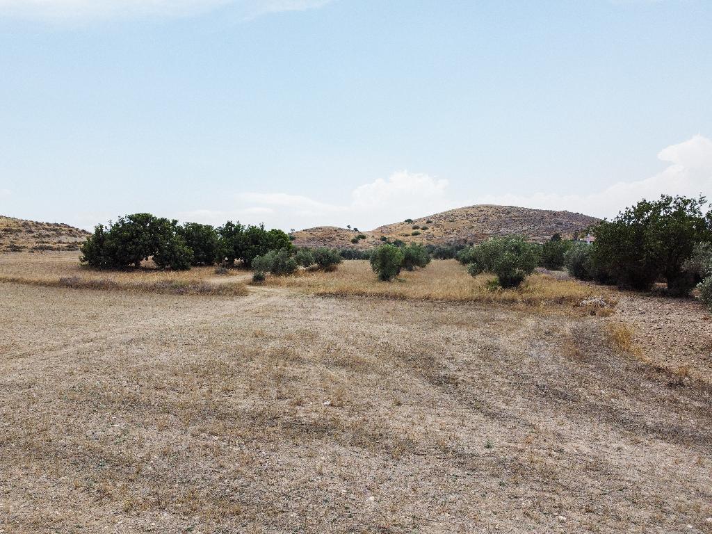 Residential Field - Troulloi, Larnaca image 3