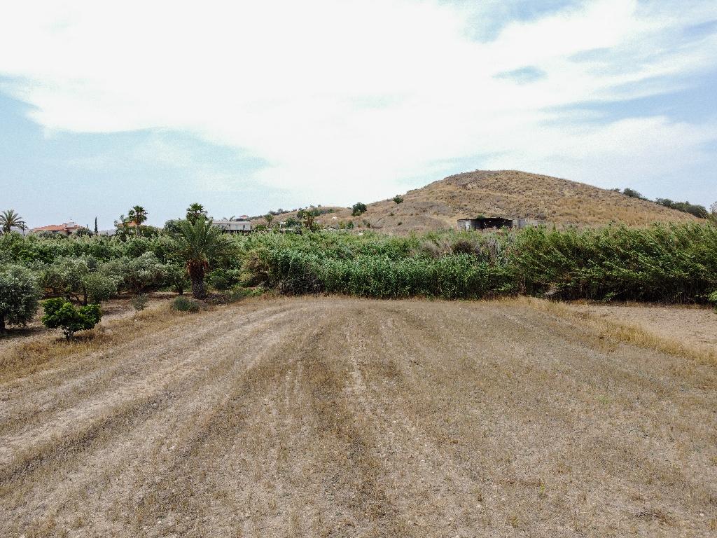 Residential Field - Troulloi, Larnaca image 4