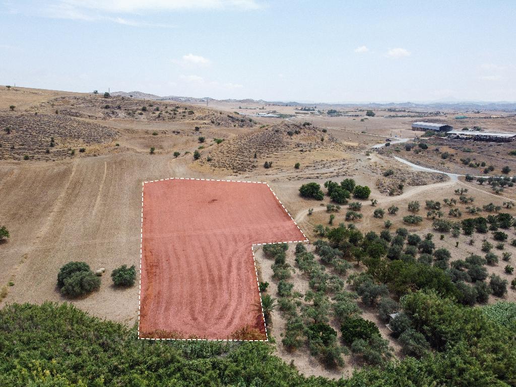 Residential Field - Troulloi, Larnaca