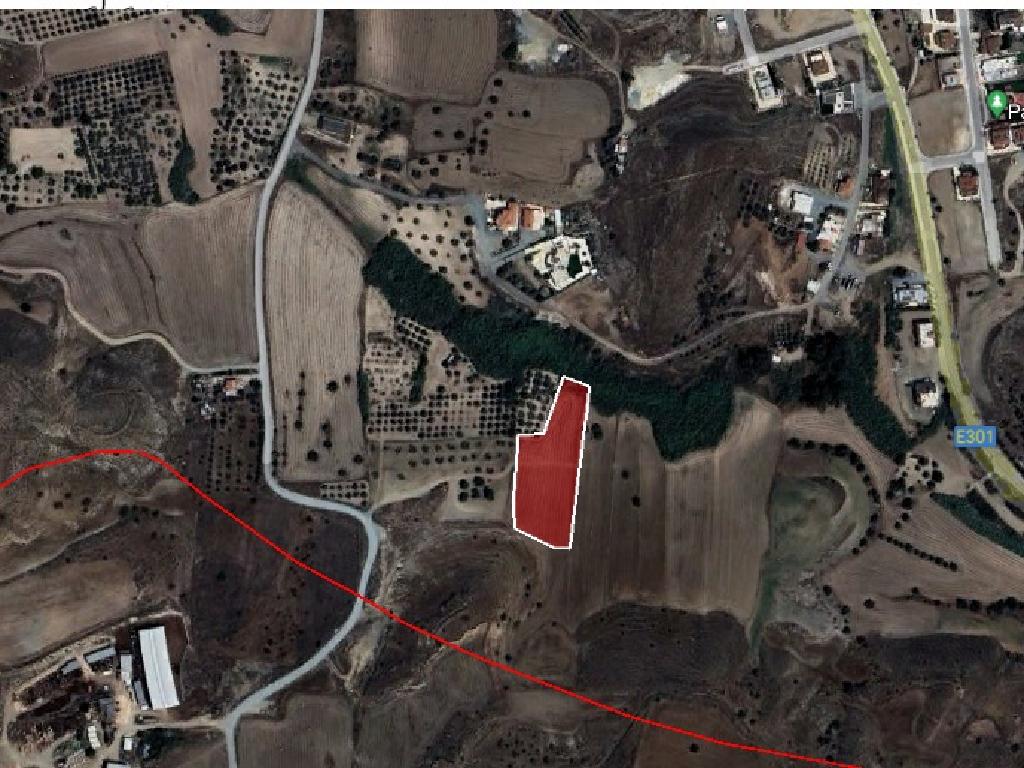 Residential Field - Troulloi, Larnaca image 5