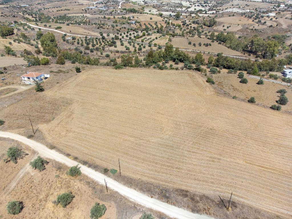 Residential Field - Analiontas, Nicosia image 5