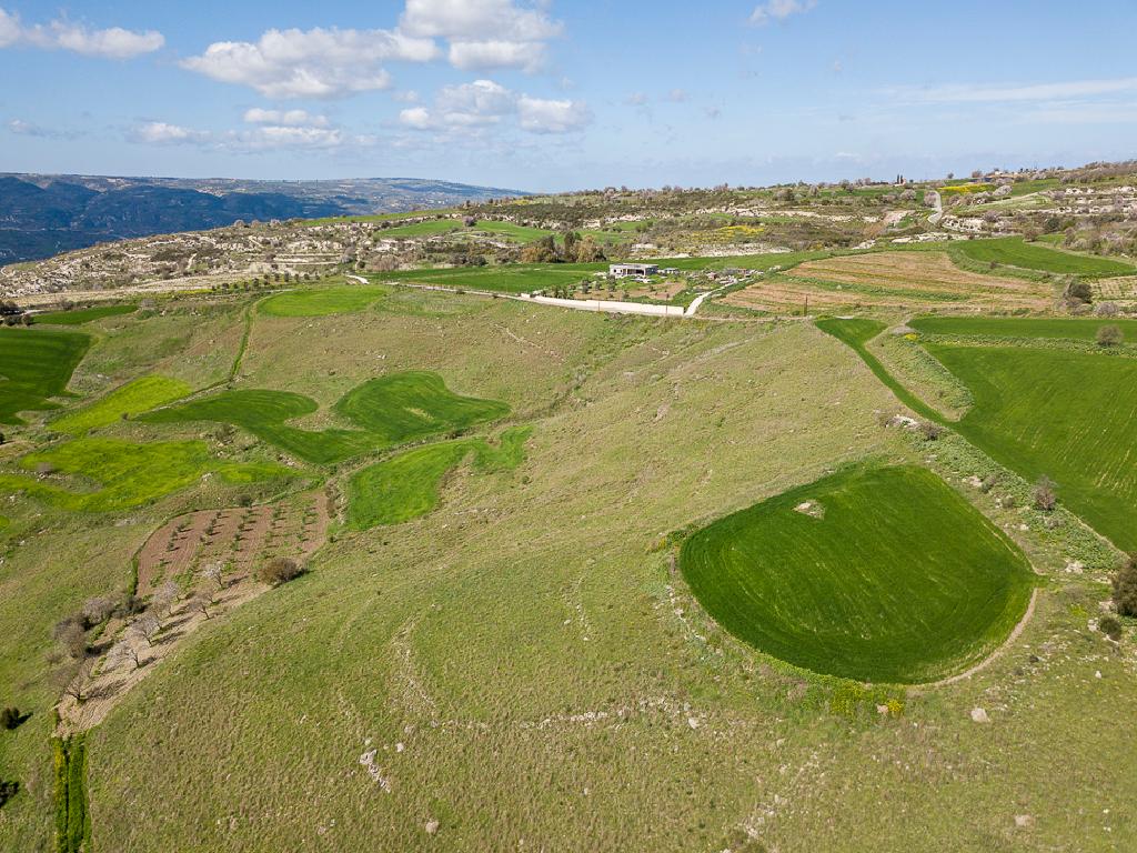 Residential Field - Thrinia, Paphos image 3
