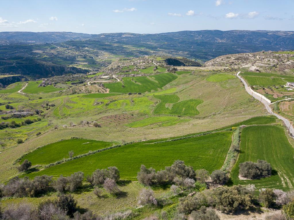Residential Field - Thrinia, Paphos image 4