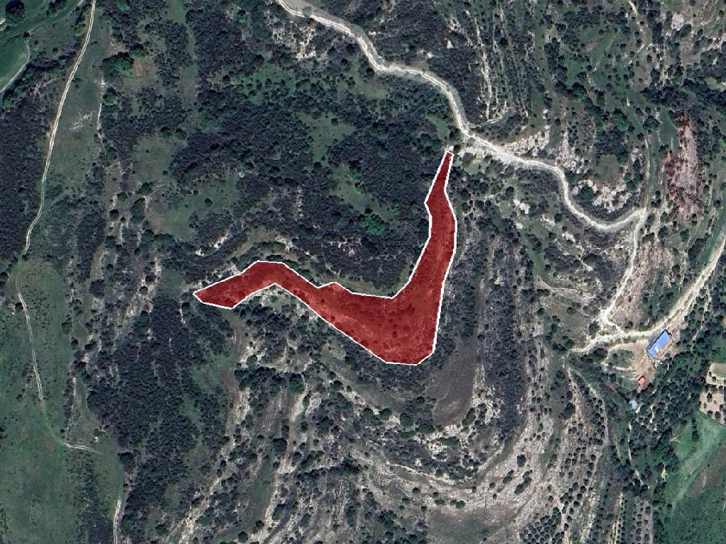 Agricultural field - Choulou, Paphos image 3