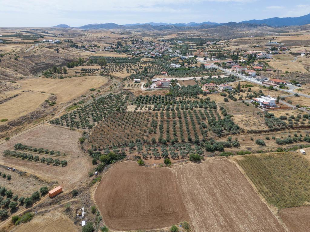 Residential field - Potami, Nicosia image 4