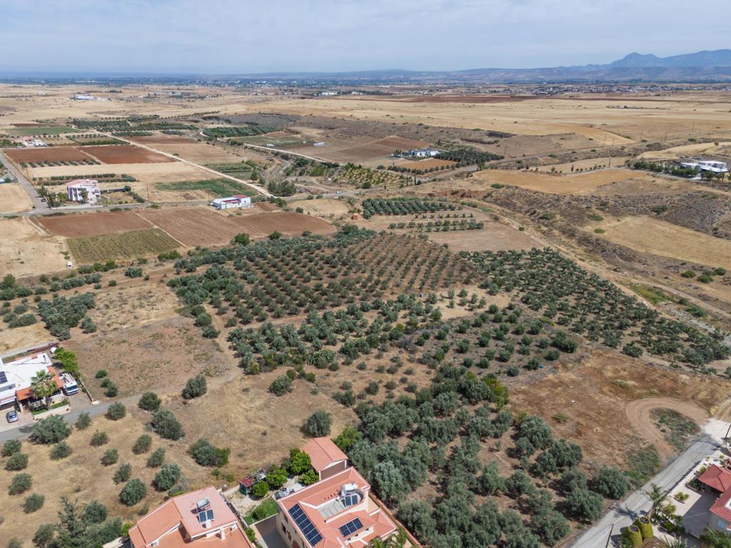 Residential field - Potami, Nicosia image 5