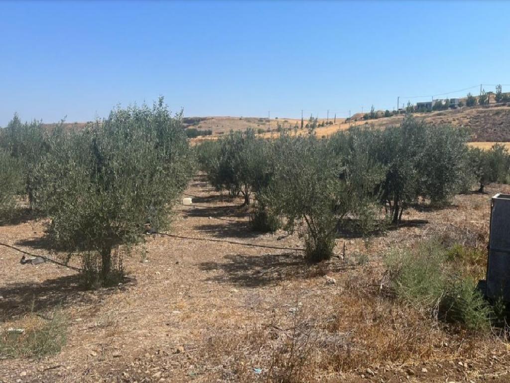 Residential field - Potami, Nicosia image 3