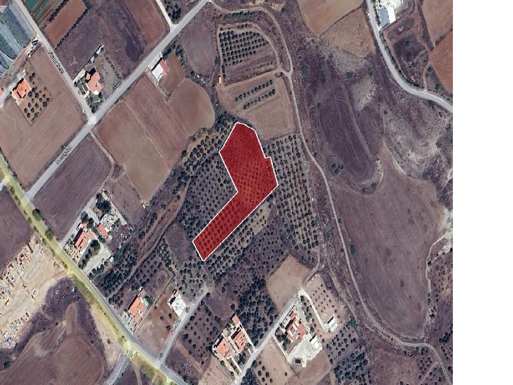Residential field - Potami, Nicosia image 6