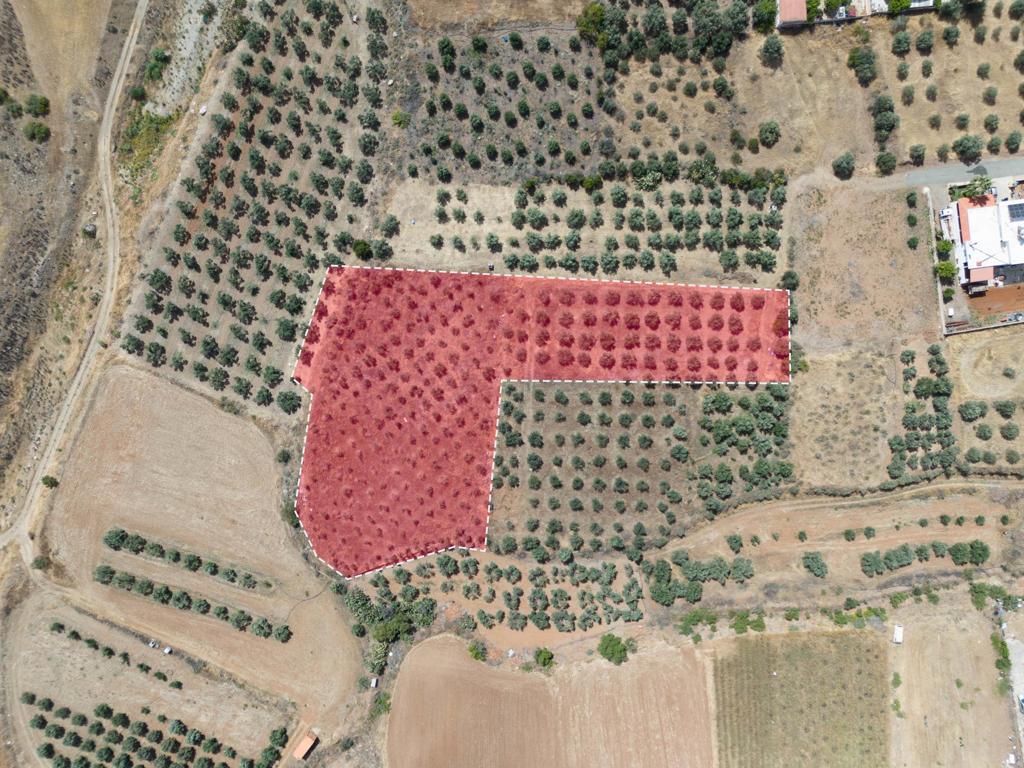 Residential field - Potami, Nicosia