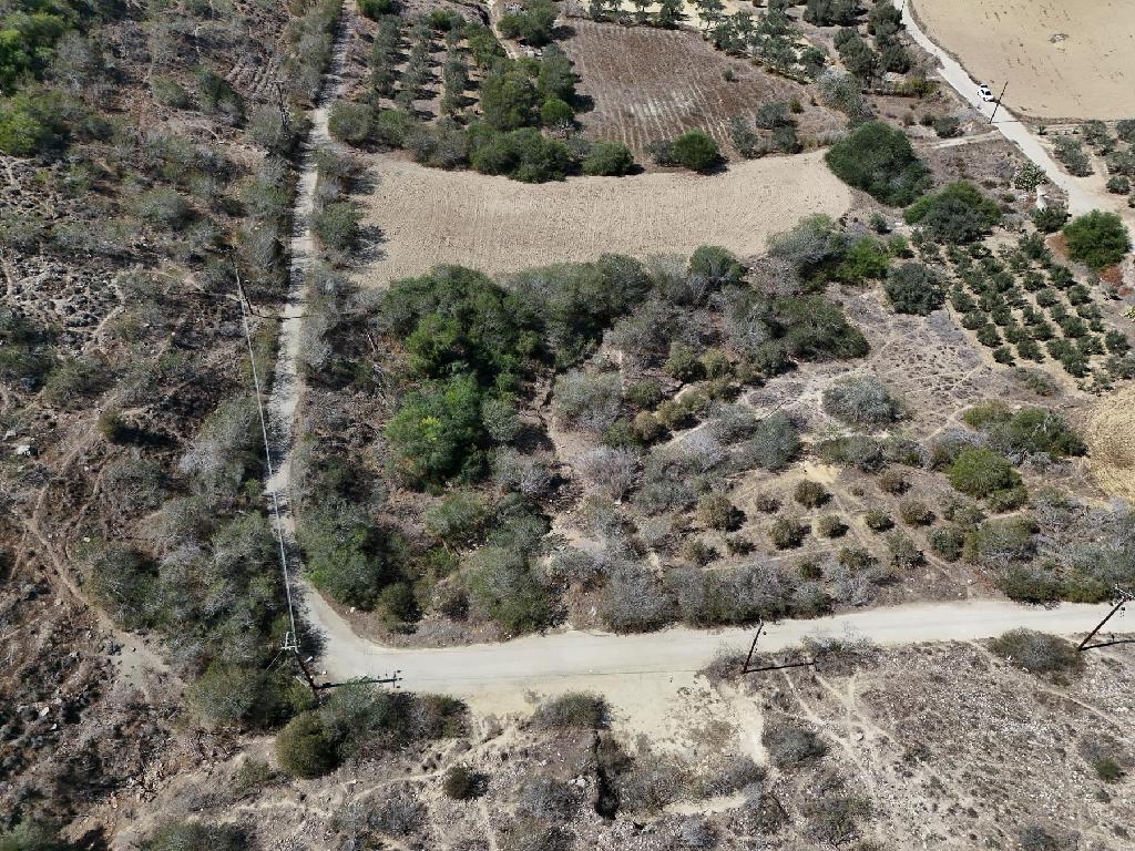 Residential Field - Mammari, Nicosia image 2