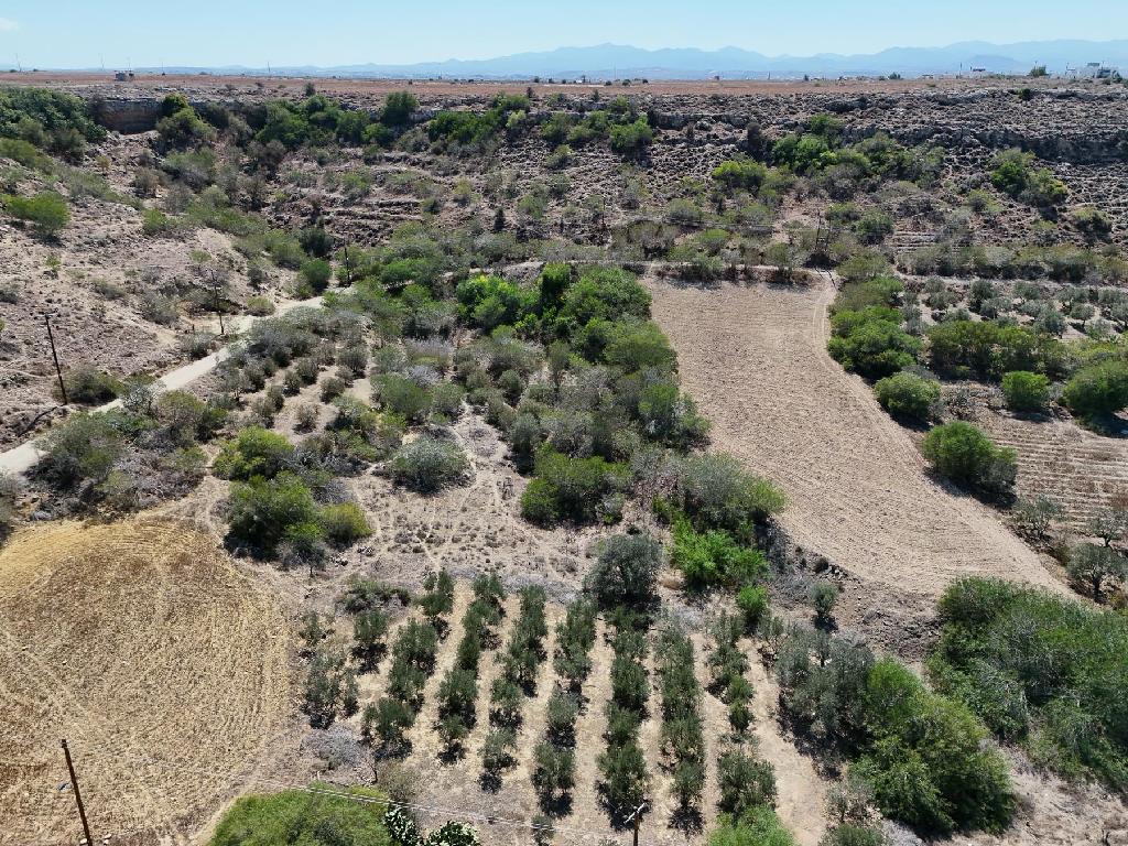 Residential Field - Mammari, Nicosia image 3