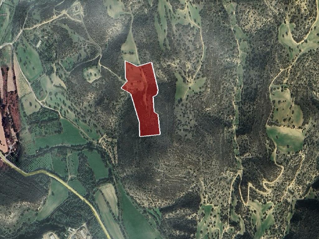 Agricultural Field - Agios Theodoros, Larnaca image 2