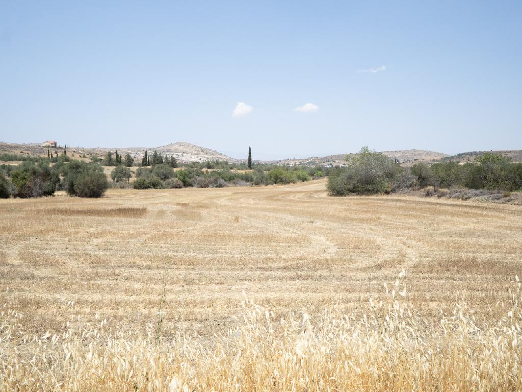 Agricultural Fields (2 units) - Agrokipia, Nicosia image 4