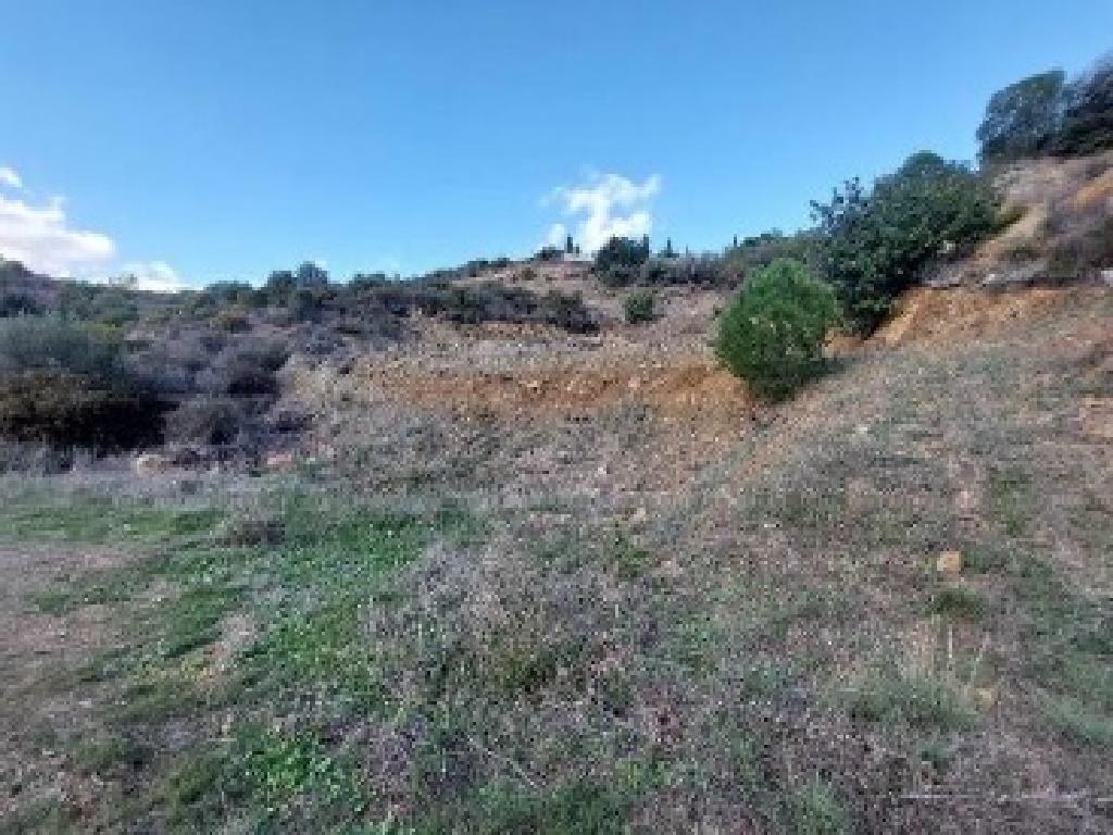 Residential field - Lageia, Larnaca