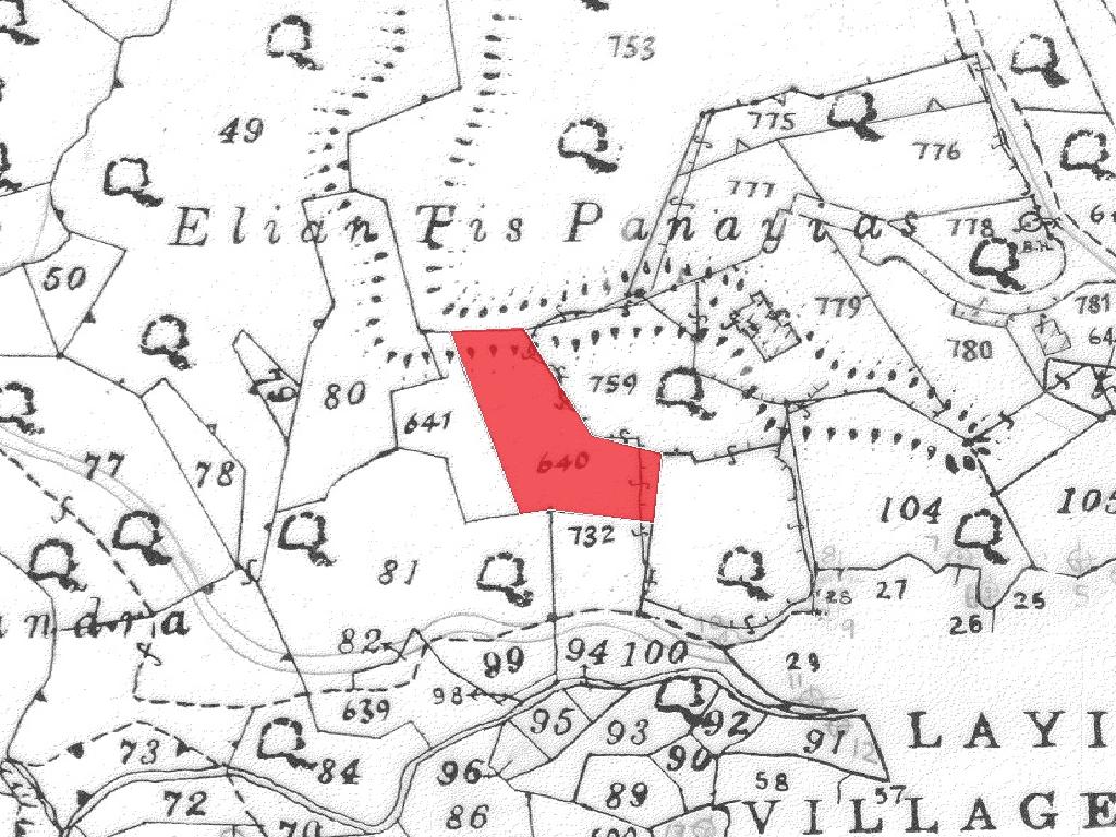 Residential field - Lageia, Larnaca image 3