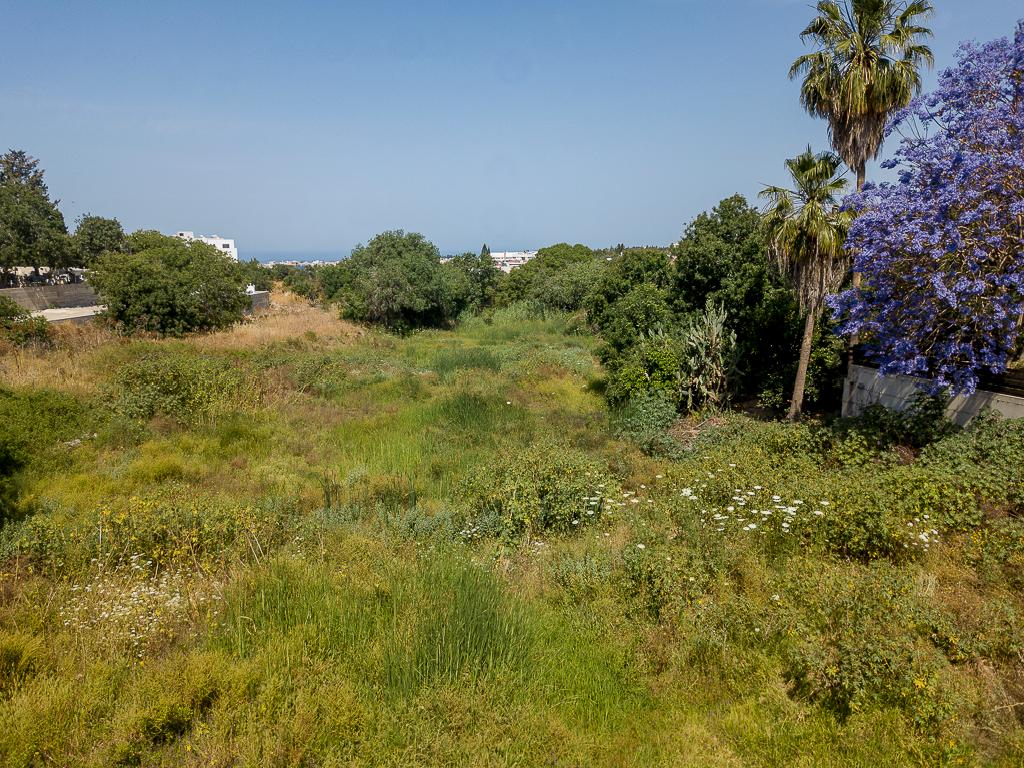 Residential Field - Konia, Paphos image 4