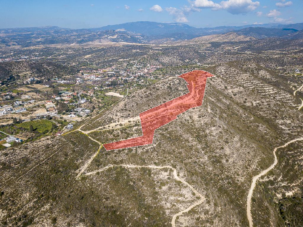 Field - Fasoula, Limassol