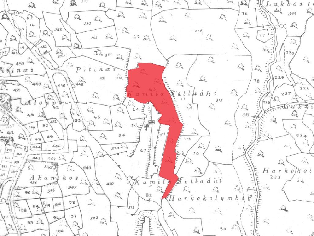 Field - Fasoula, Limassol image 4