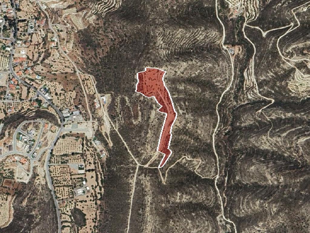 Field - Fasoula, Limassol image 3