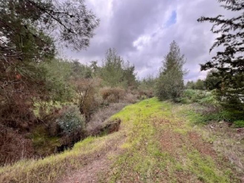 Agricultural Field - Mitsero, Nicosia image 2
