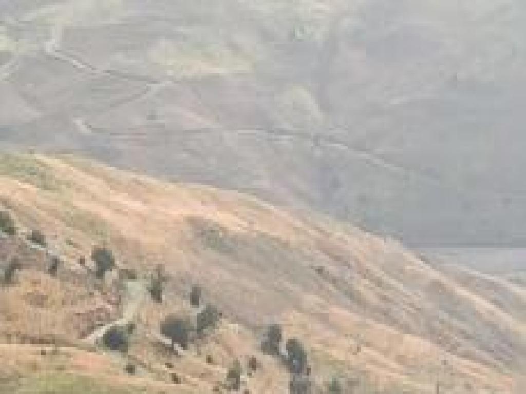 Agricultural Field - Koilineia, Paphos